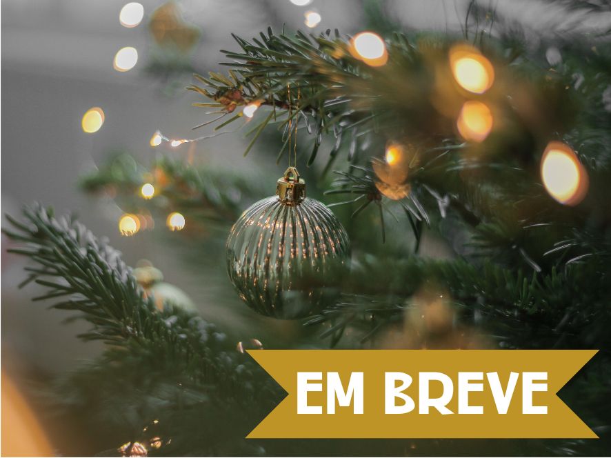 natal, saboaria artesanal, hidratante, vela vegetal, aroma perfume, cosméticos naturais, óleo vegetal